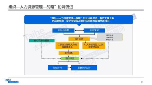 構建以網絡技術開發為驅動的人力資源管理體系，助力企業實現跨越式發展